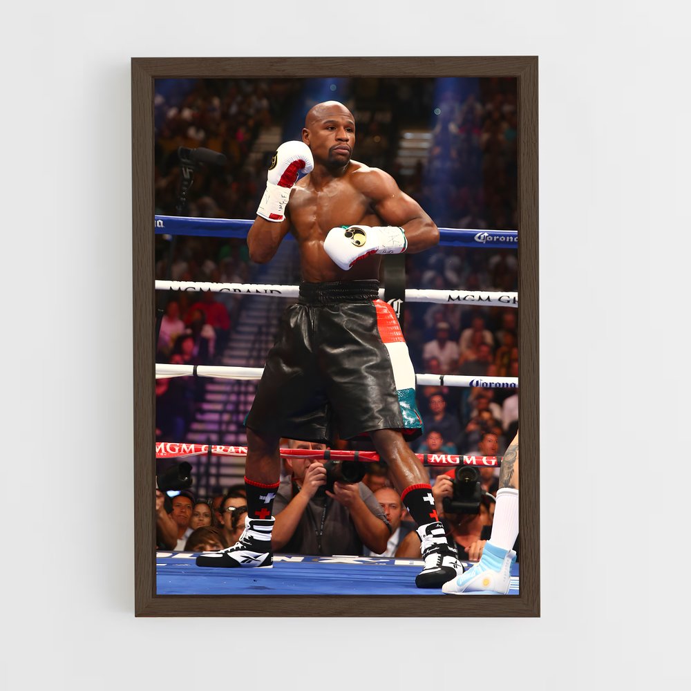 Poster Floyd mayweather (vue 5)